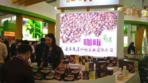 普洱市组团参加第五届中国—南亚博览会暨第二十五届中国昆明进出口商品交易会，会议及展览服务全面升级