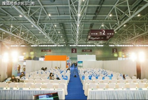 2021深圳电商展 设计重塑线上体验，引领数字视觉浪潮